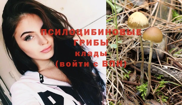 COCAINE Краснотурьинск